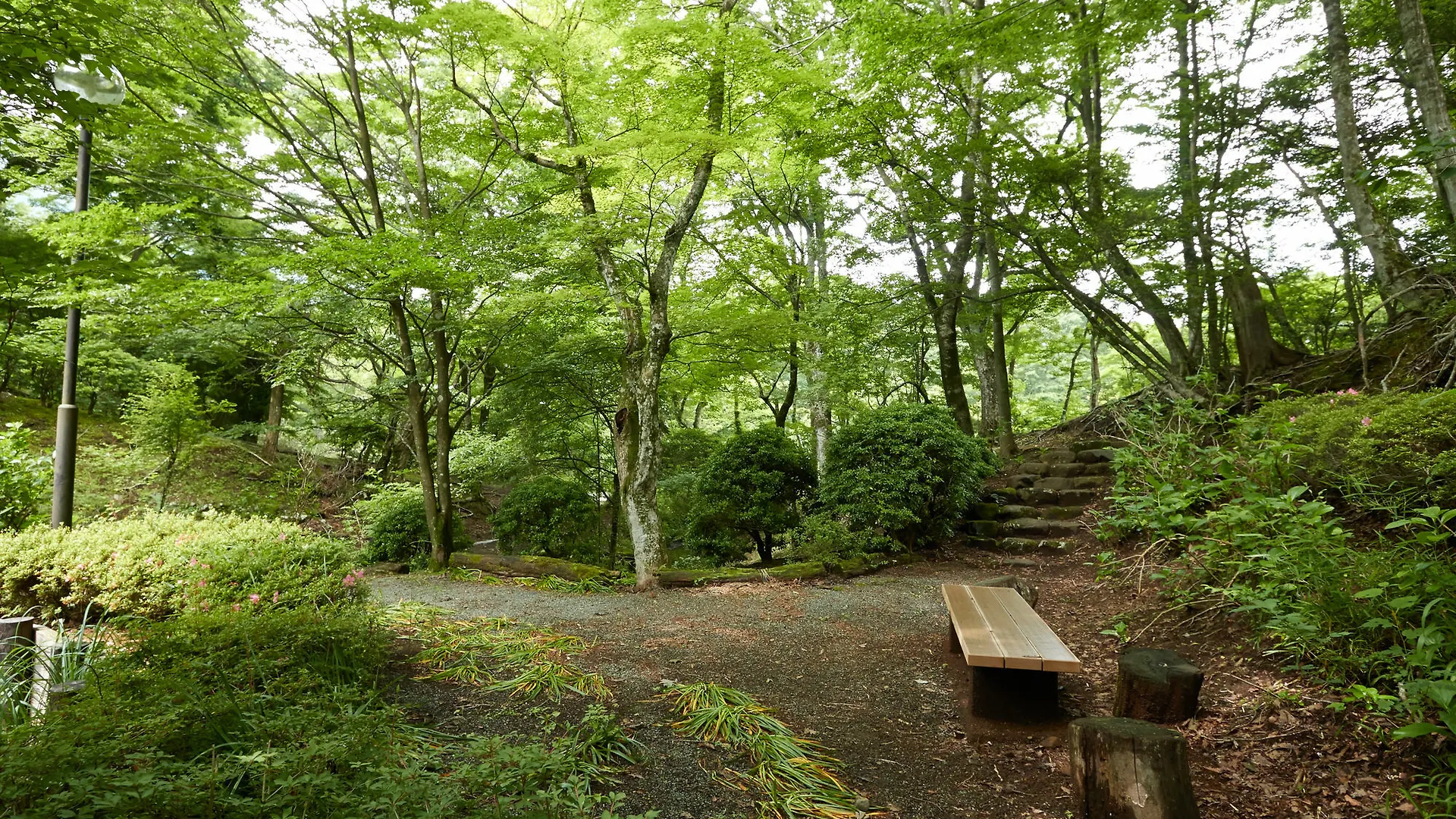 Hakone Highland Hotel Japan