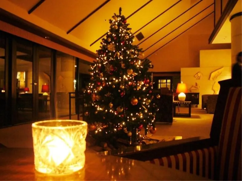 ****  Hakone Highland Hotel Japan