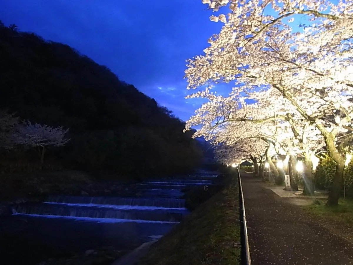 Hakone Highland Hotel 4*,  Japan